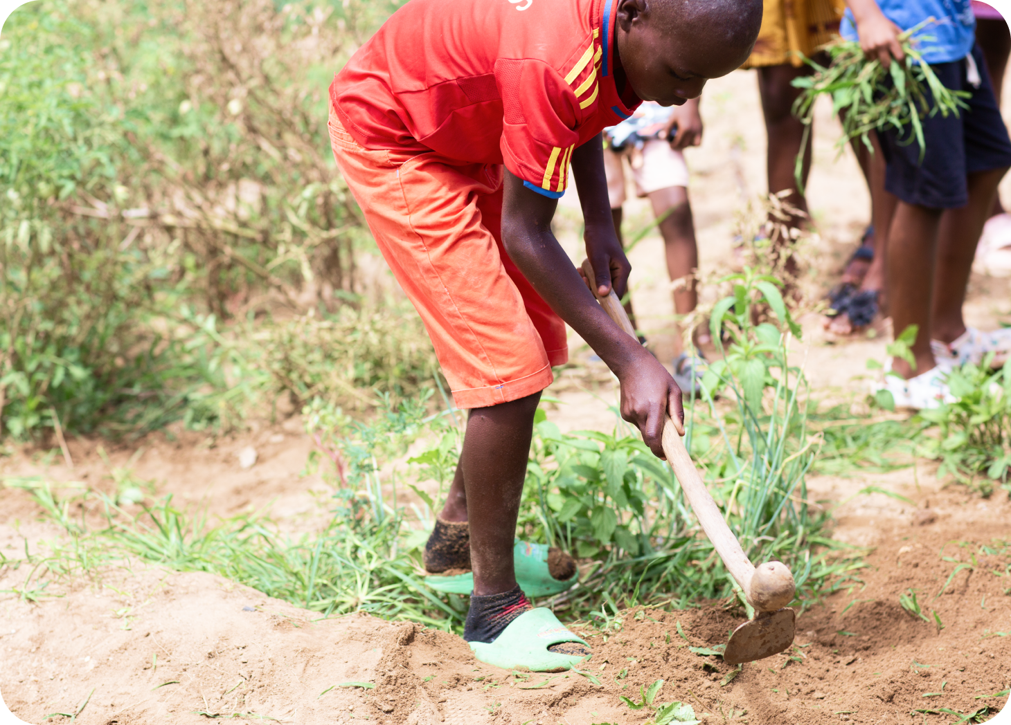 Tomorrow Clubs students are learning how to farm.